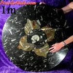 Marble black dining table marble coffee table, coffee table marble, marble top coffee table, round marble table, coffee table, marble tables, marble table tops for sale, table fossile maroc, table fossilisée, table de marbre, marble top table